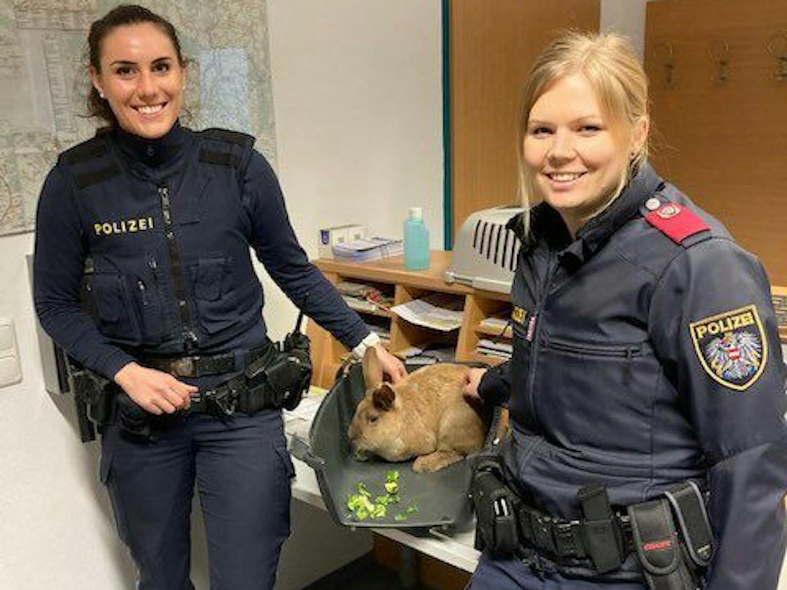 Die beiden Polizistinnen übergaben den Hasen der Tierrettung