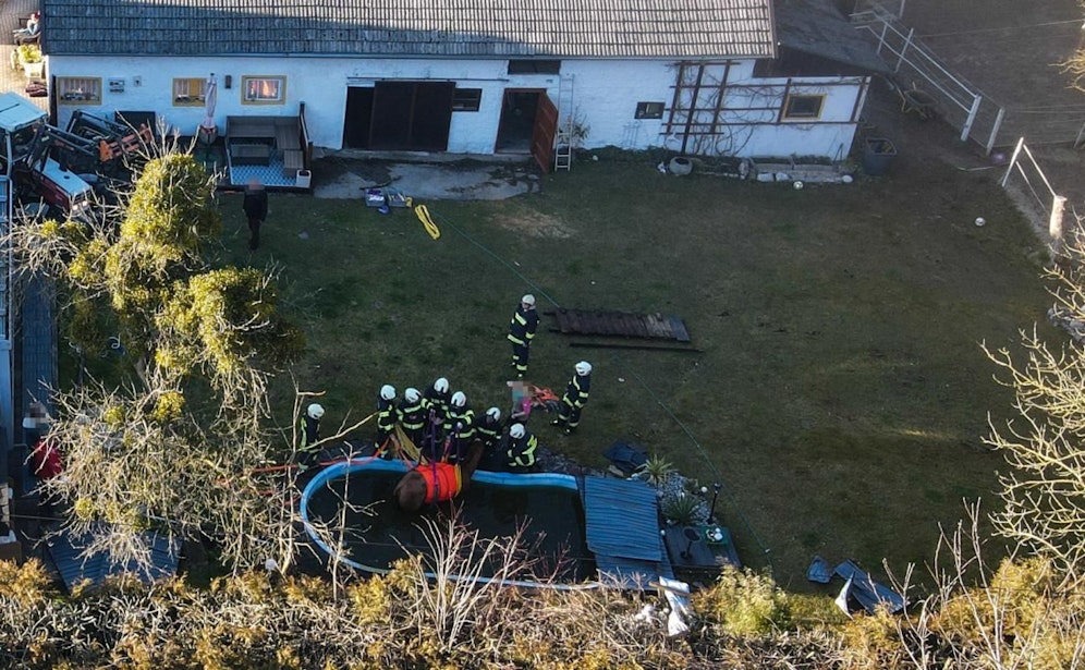 Das Pferd durchbrach die Abdeckung und stürzte in den Pool