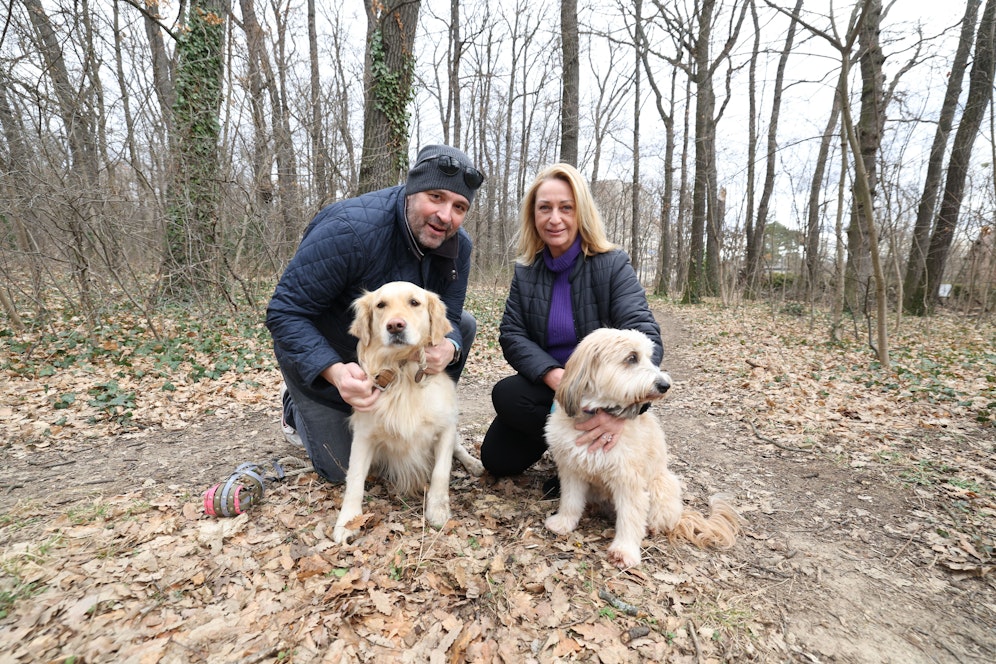 Nachdem keine Hinweise zum 