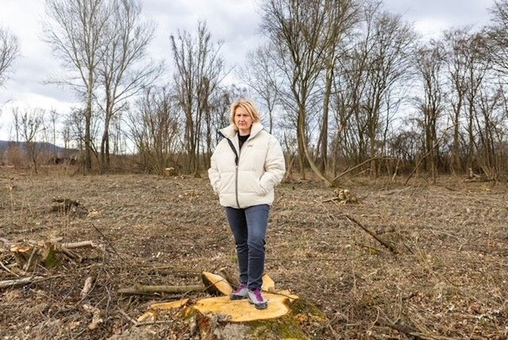 Protest der Grünen gegen Abholzungen in Spillern
