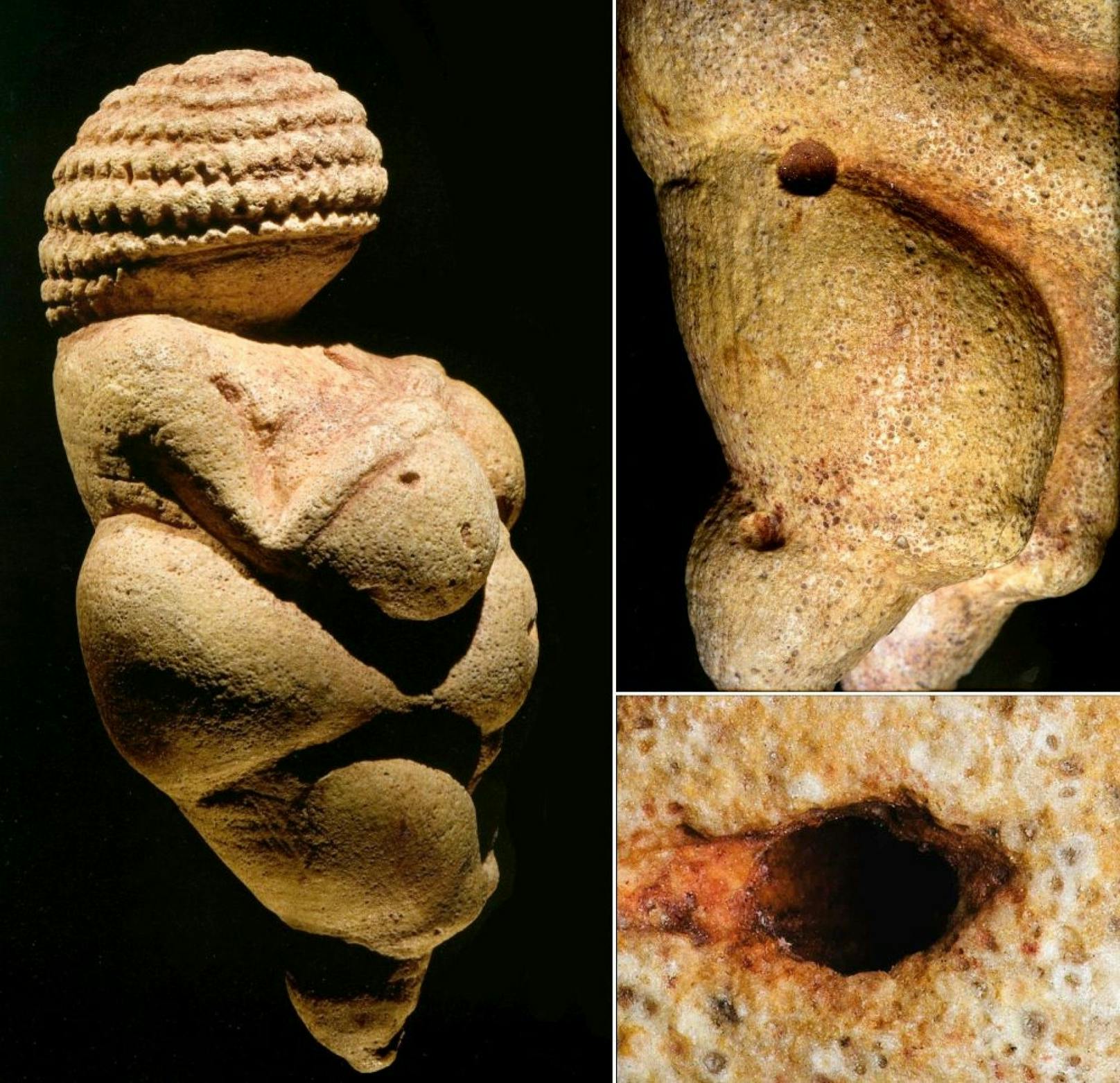 Die 29.500 Jahre alte "Venus von Willendorf", benannt nach ihrem Fundort, hat wohl Migrationshintergrund.