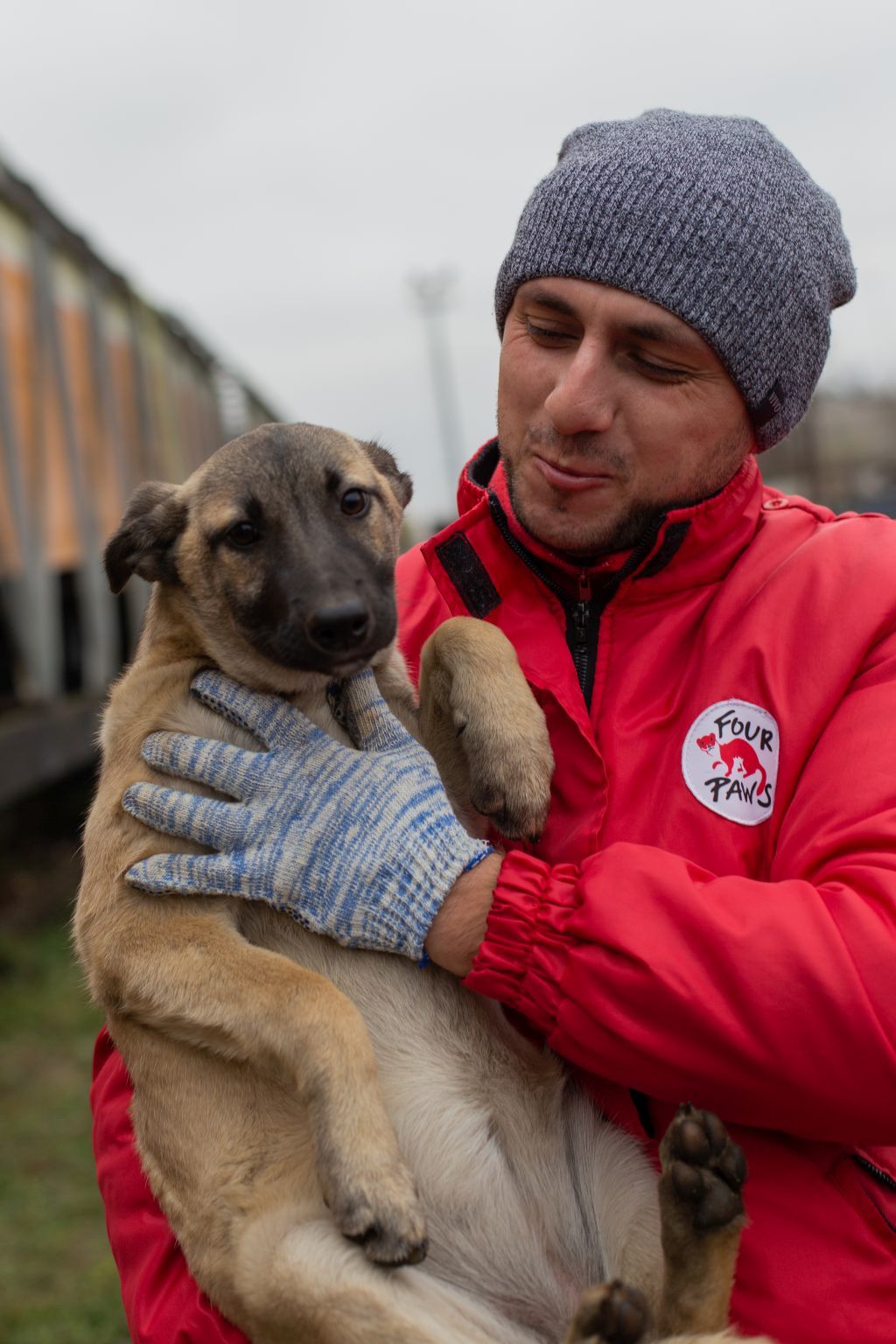 Der Tierschutzverein VIER PFOTEN berichtet aus dem Kriegsgebiet.