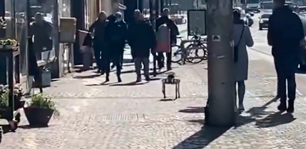 Ein Wiener entdeckte diesen 