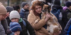 Haustiere müssen nicht zurückbleiben – Österreich hilft