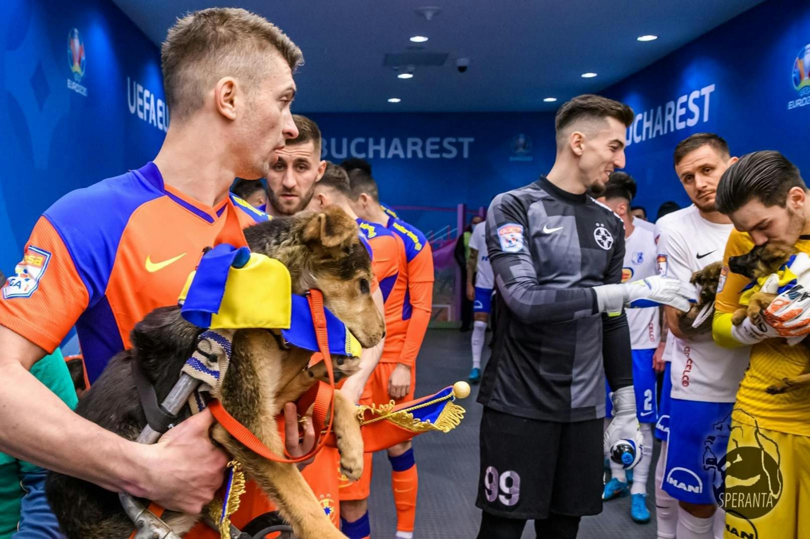 Das alles hat in Bukarests Fußballwelt vor wenigen Tagen für großes Aufsehen und noch größeres Entzücken gesorgt.