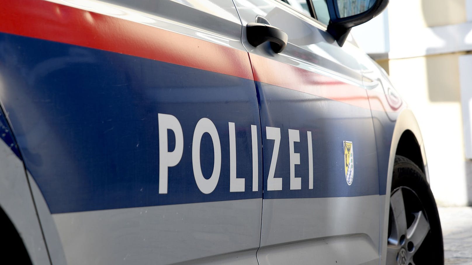 Ein 23-jähriger Wiener soll eine mit Benzin gefüllte Gießkanne in den Eingangsbereich einer Diskothek in Vösendorf (NÖ) geworfen haben. (Symbolbild)