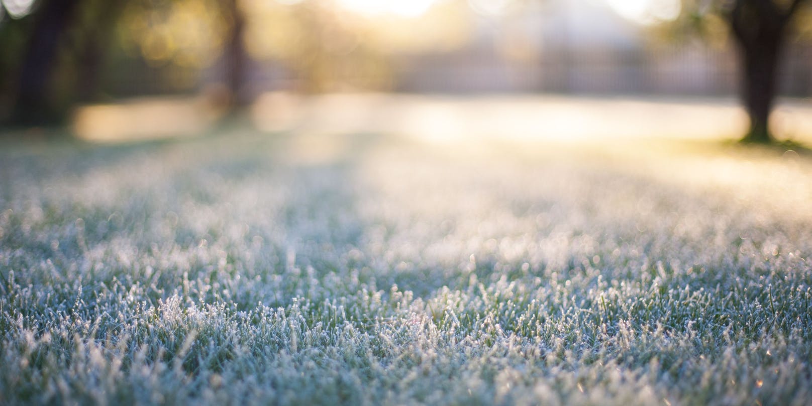 Auch wenn das Wetter in der neuen Woche ziemlich ruhig wird – Die Temperaturen sind alles andere als angenehm.