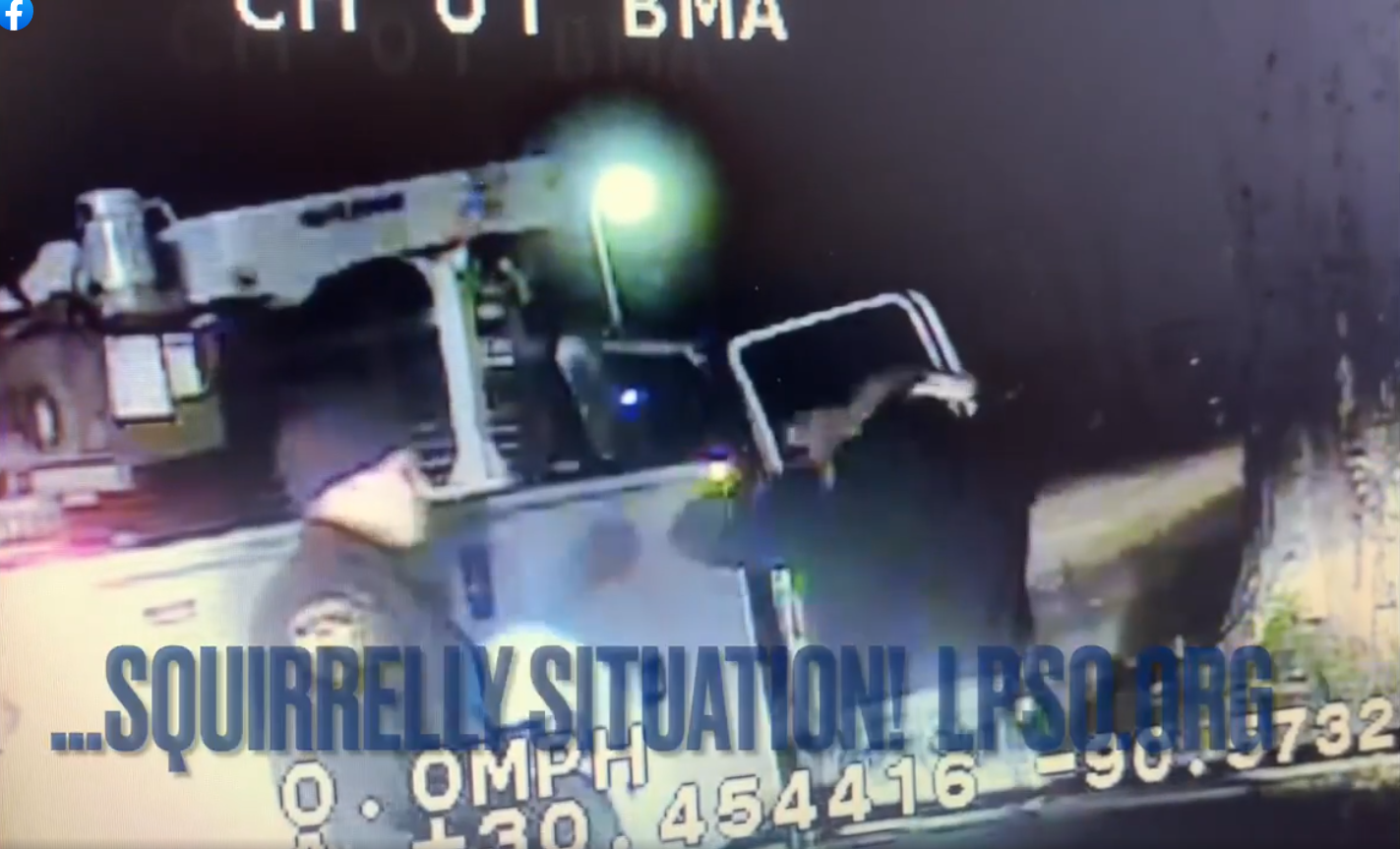 Bei einer Verkehrskontrolle wurden die Polizisten von einem unliebsamen Fahrgast überrascht. Ein mitfahrendes Eichkätzchen ging den Beamten an die Gurgel.