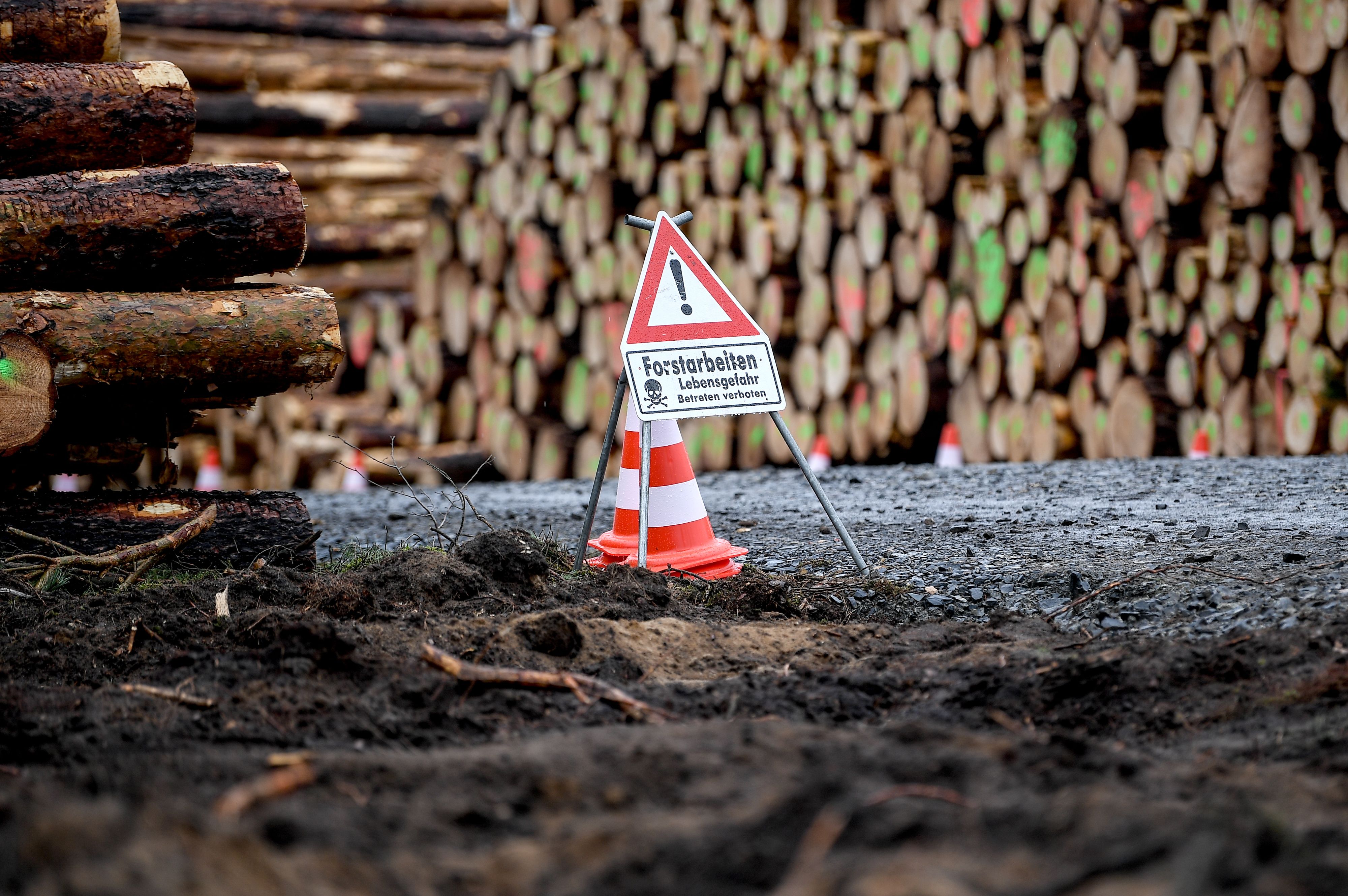Immer wieder kommt es bei Forstarbeiten zu schweren Unfällen. Trotzdem hat ein 66-jähriger Steirer keinen Helm getragen.