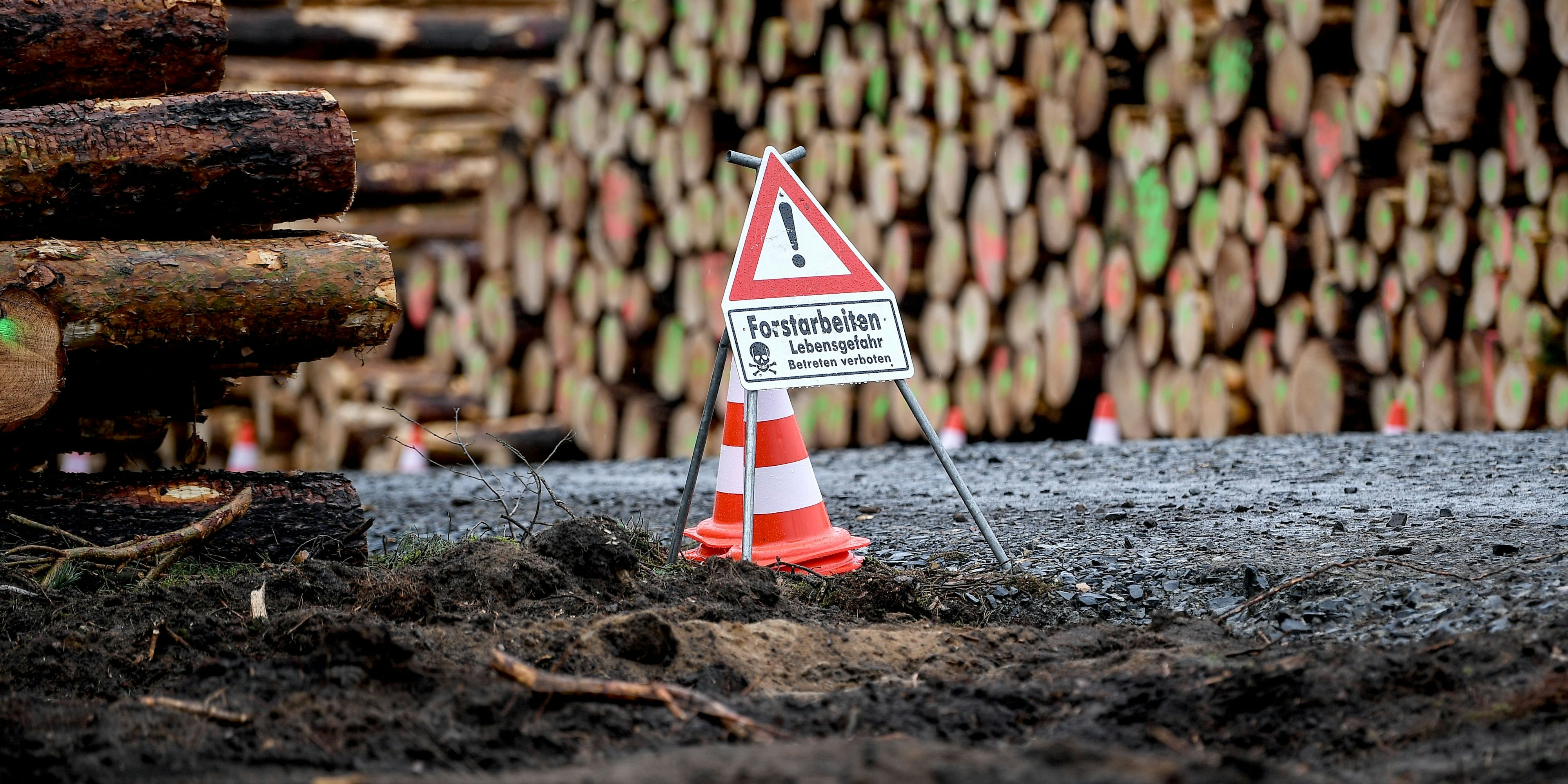Immer wieder kommt es bei Forstarbeiten zu schweren Unfällen. Trotzdem hat ein 66-jähriger Steirer keinen Helm getragen.