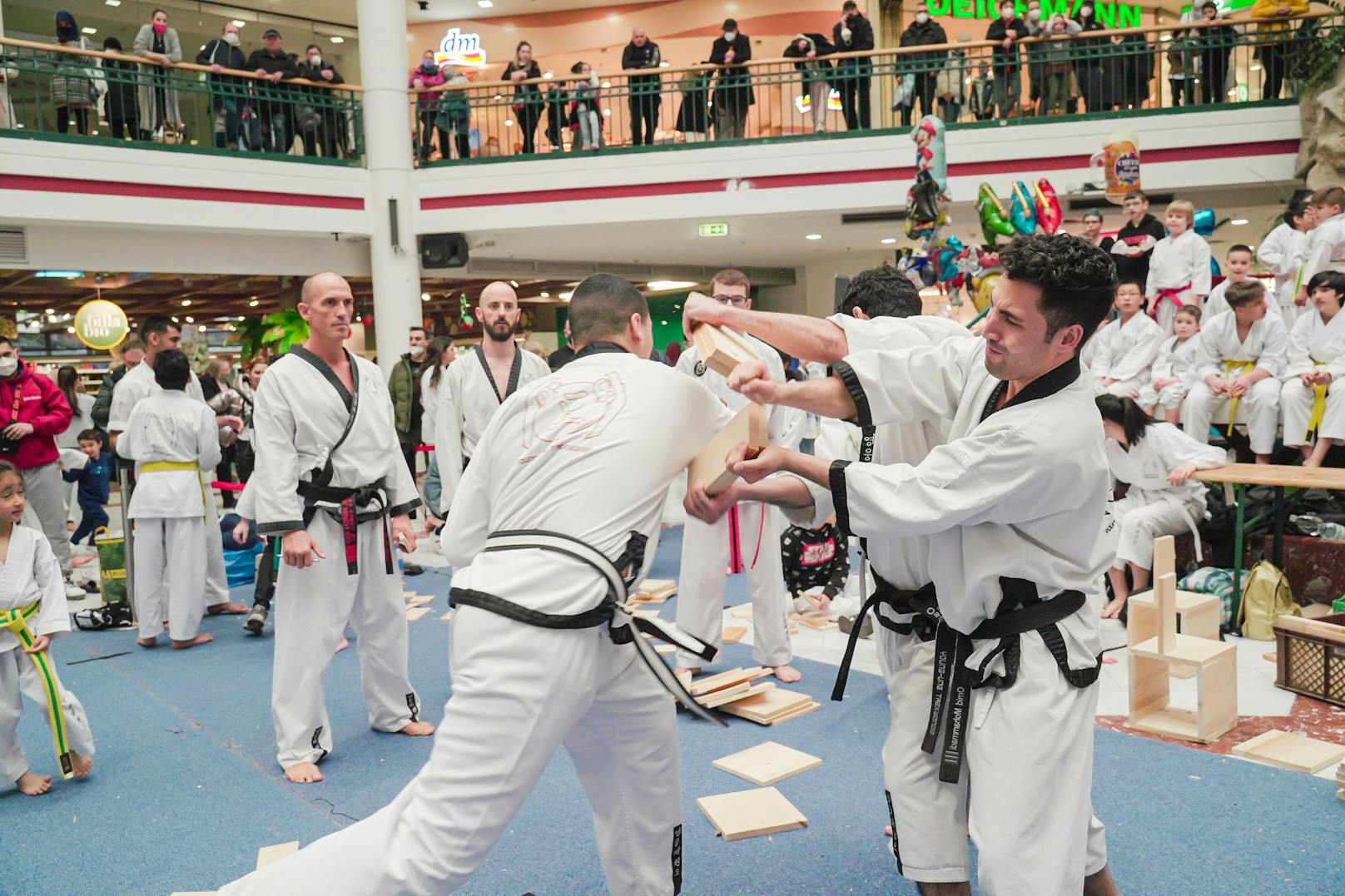 Taekwondo-Turnier brachte Lugner City zum Beben