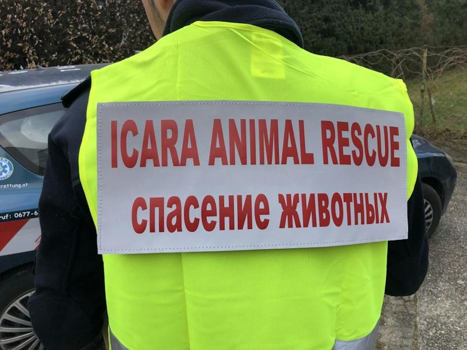 "Icara"-Tierrettung begibt sich direkt vor Ort.