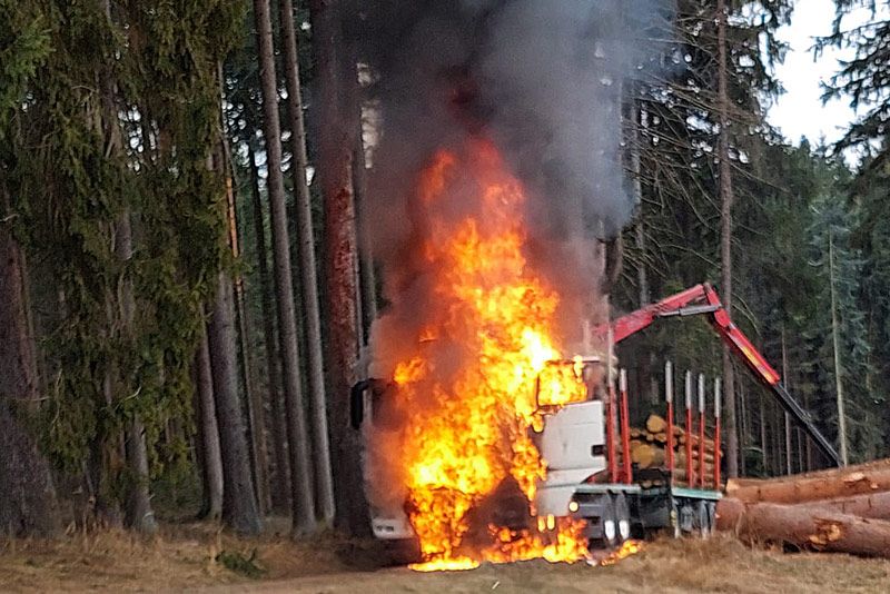 Die Feuerwehr konnte den Lkw löschen.