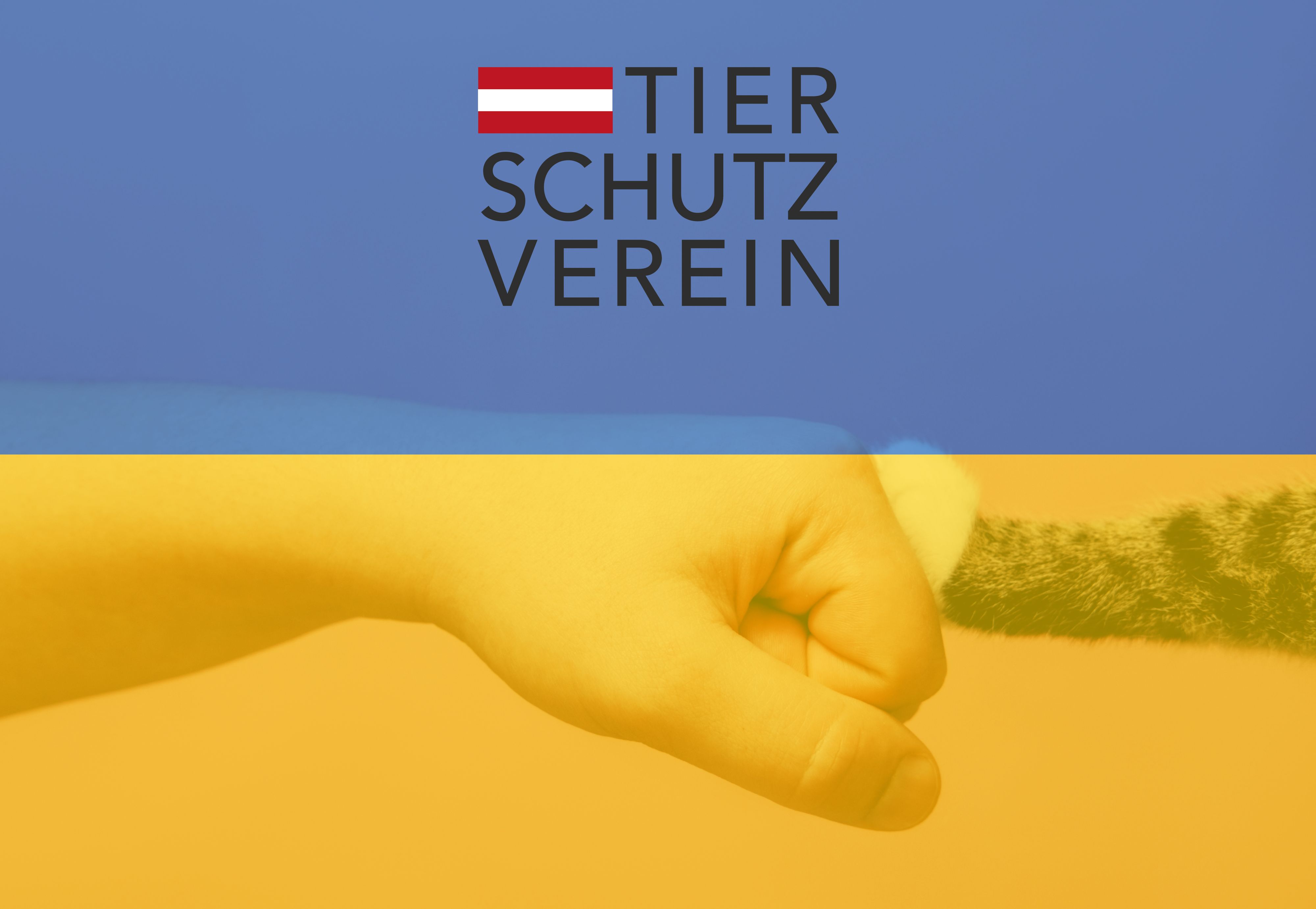 Der Österreichische Tierschutzverein bittet die Bevölkerung um ihre Mithilfe. 