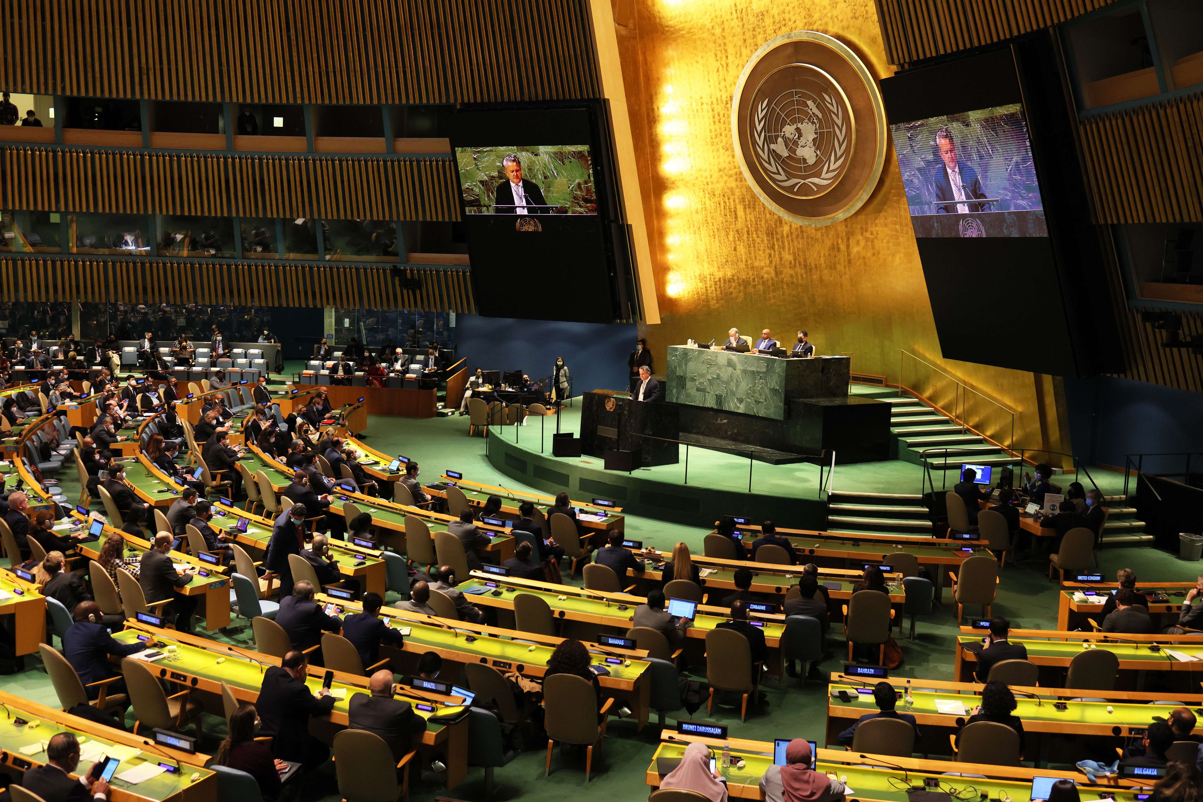 Die Mitarbeiter der Vereinten Nationen dürfen weder von 