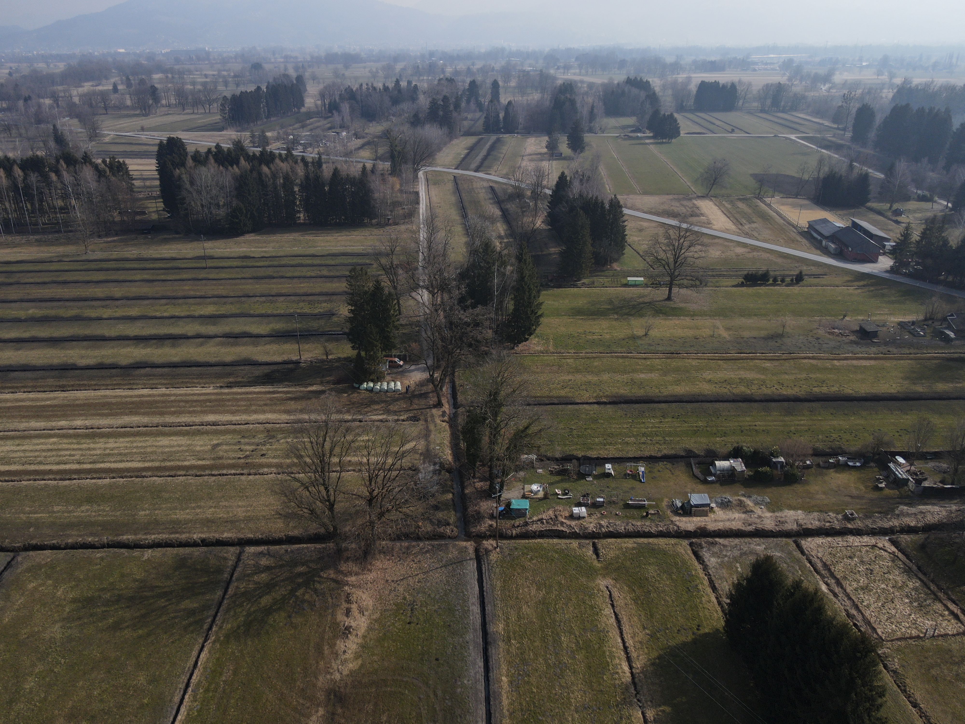 Die Leiche der 30-Jährigen&nbsp;wurde in einem Entwässerungsgraben im Lustenauer Ried abgelegt, wo sie am vergangenen Samstag vom Grundstücksbesitzer aufgefunden wurde.