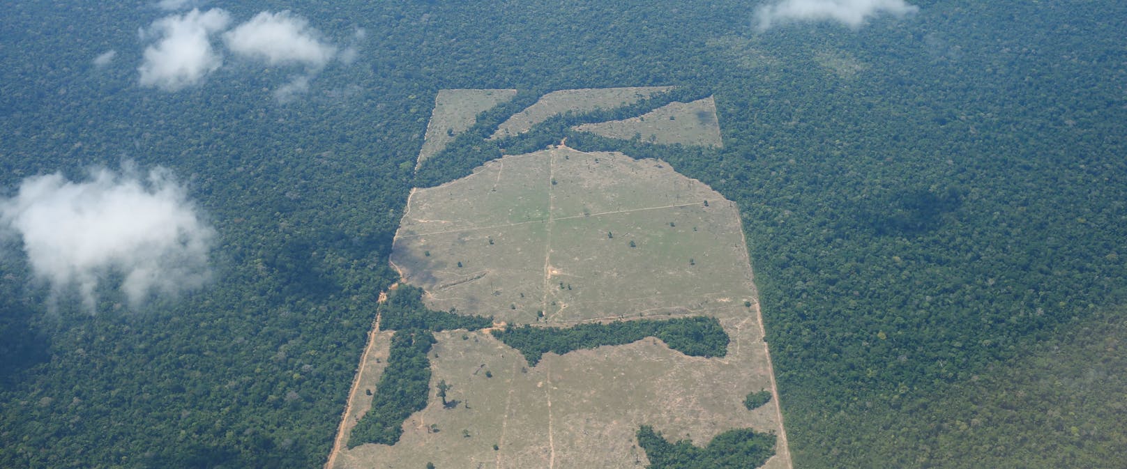 Luftaufnahmen zeigen riesige abgeholzte Flächen des Amazonas-Regenwaldes im Bundesstaat Rondonia in Brasilien.