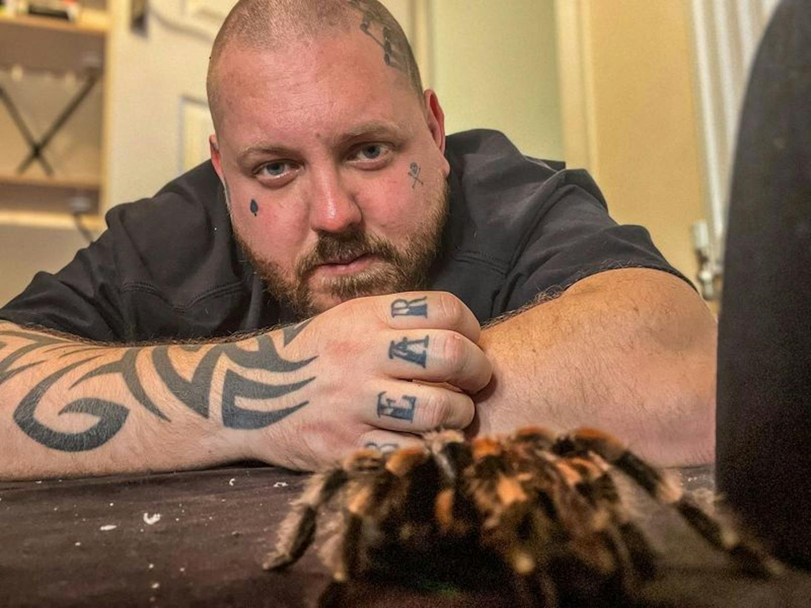 Die Ärzte stellen bei Aaron Phoenix eine bipolare Störung fest - daraufhin schaffte er sich 120 Vogelspinnen an. 
