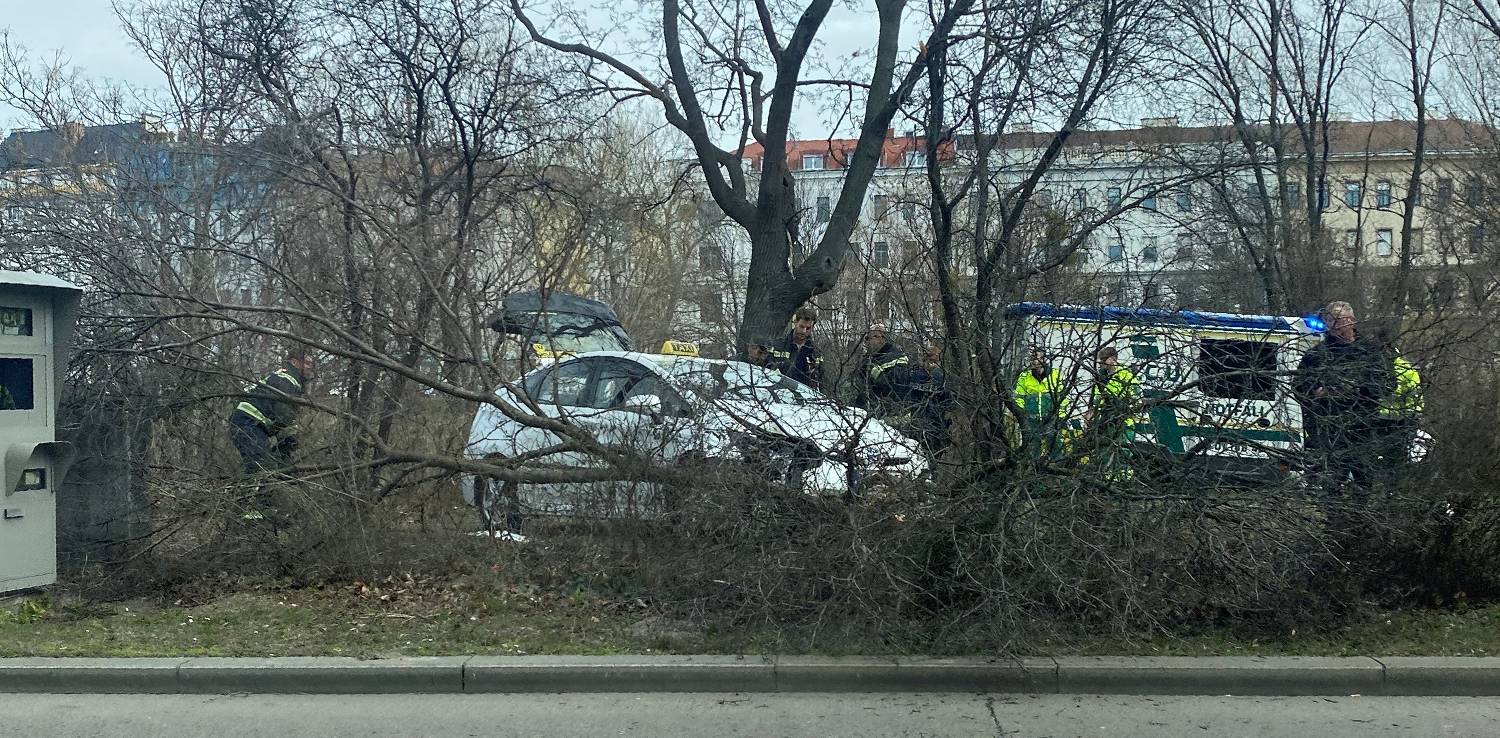 Ein Taxi auf Abwegen
