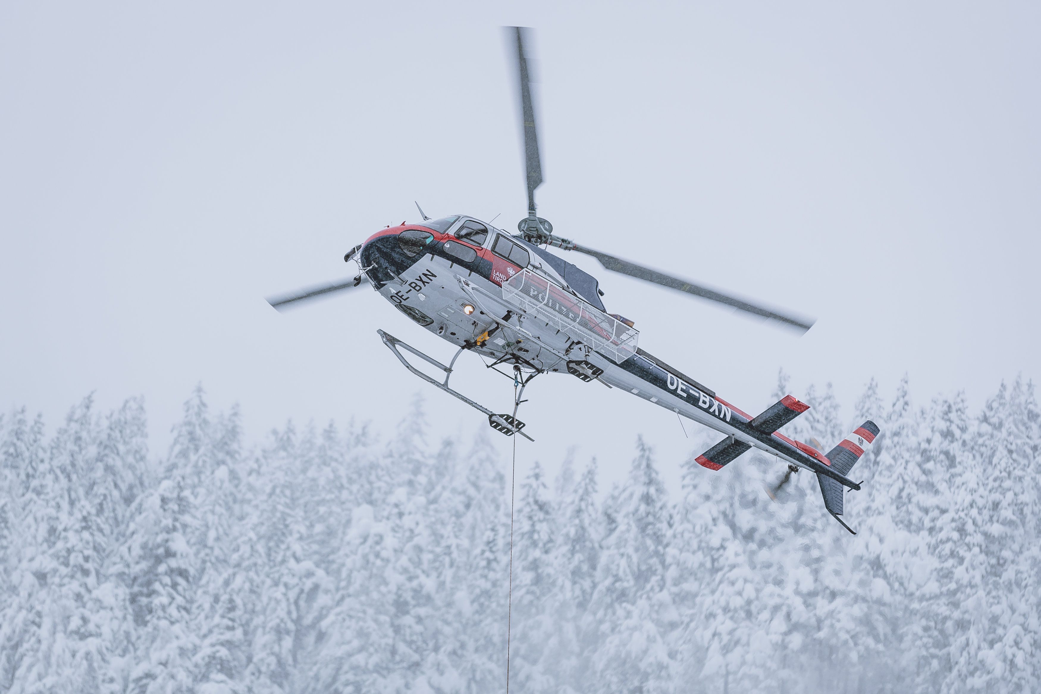 20 Bergretter aus Lienz, Suchhunde, eine Drohne und ein Polizeihubschrauber waren im Einsatz. (Symbolbild)