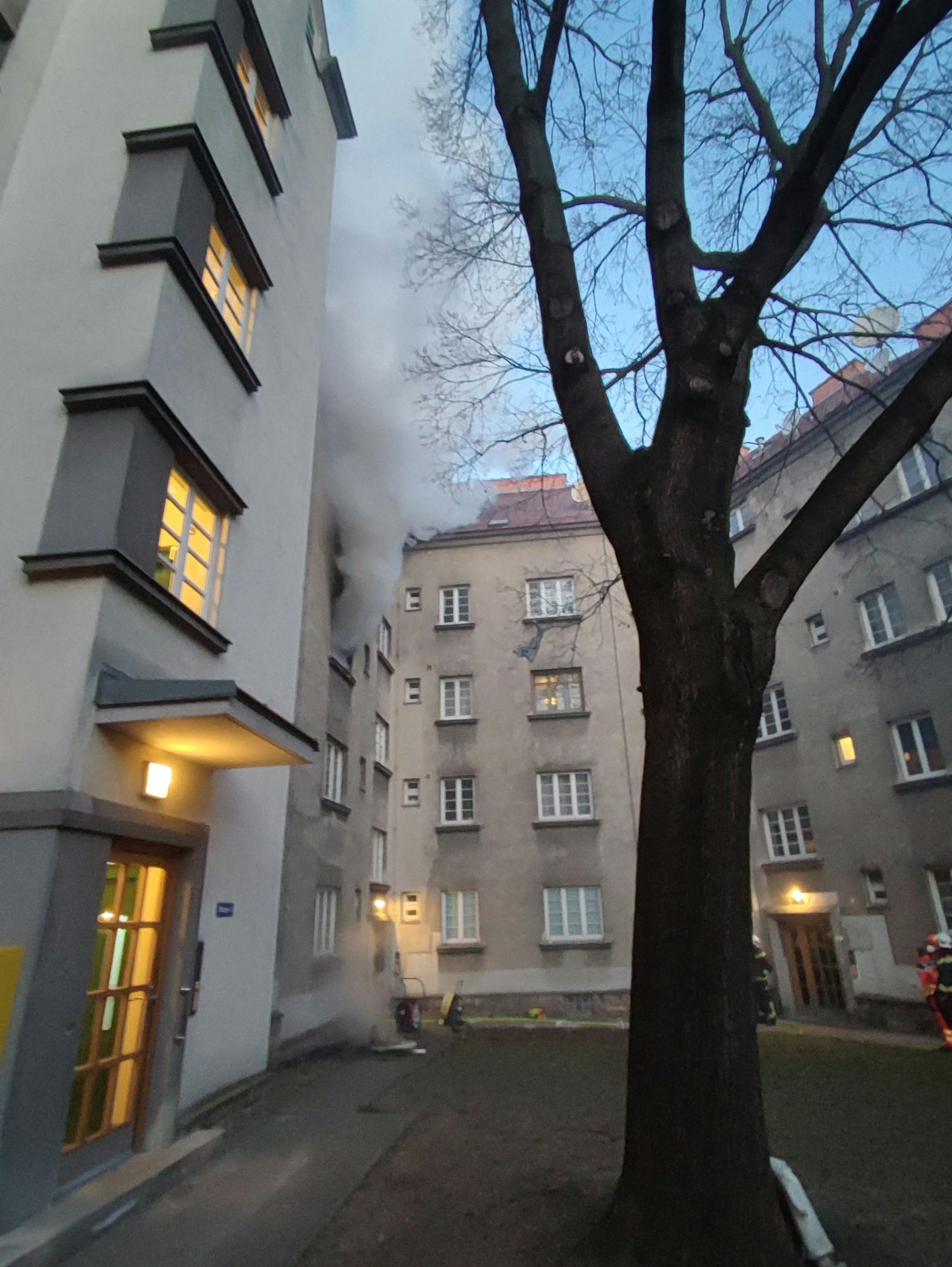 Die dichte Rauchwolke stieg in den Wiener Innenhof, ...