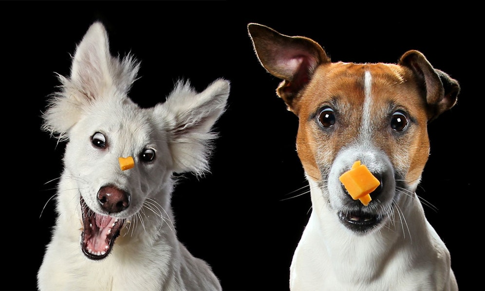 Für den guten Zweck, darf man auch in schwierigen Zeiten zwei Minuten lachen. 