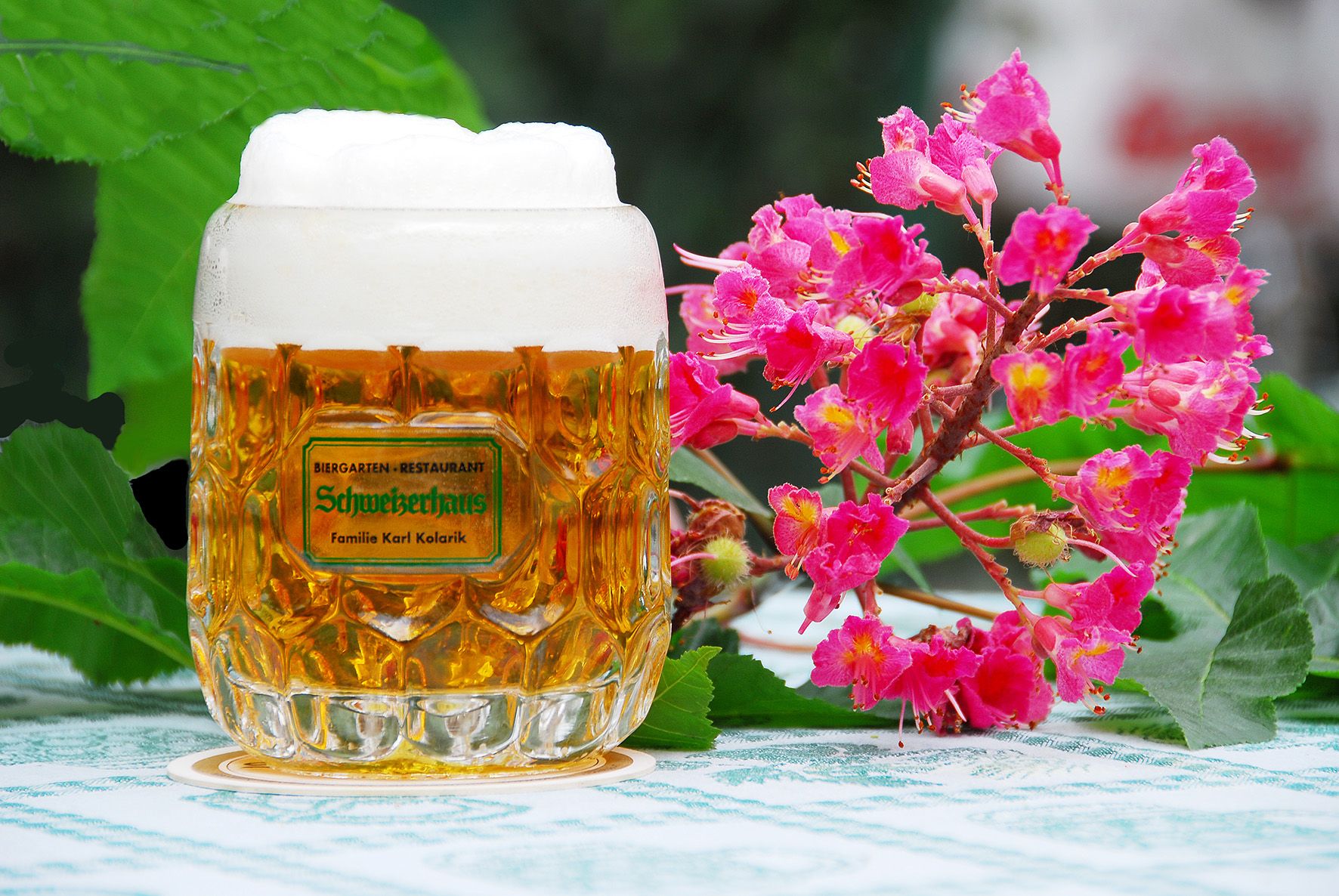 Ab 15. März gibt's wieder frisch gezapftes Budweiser.