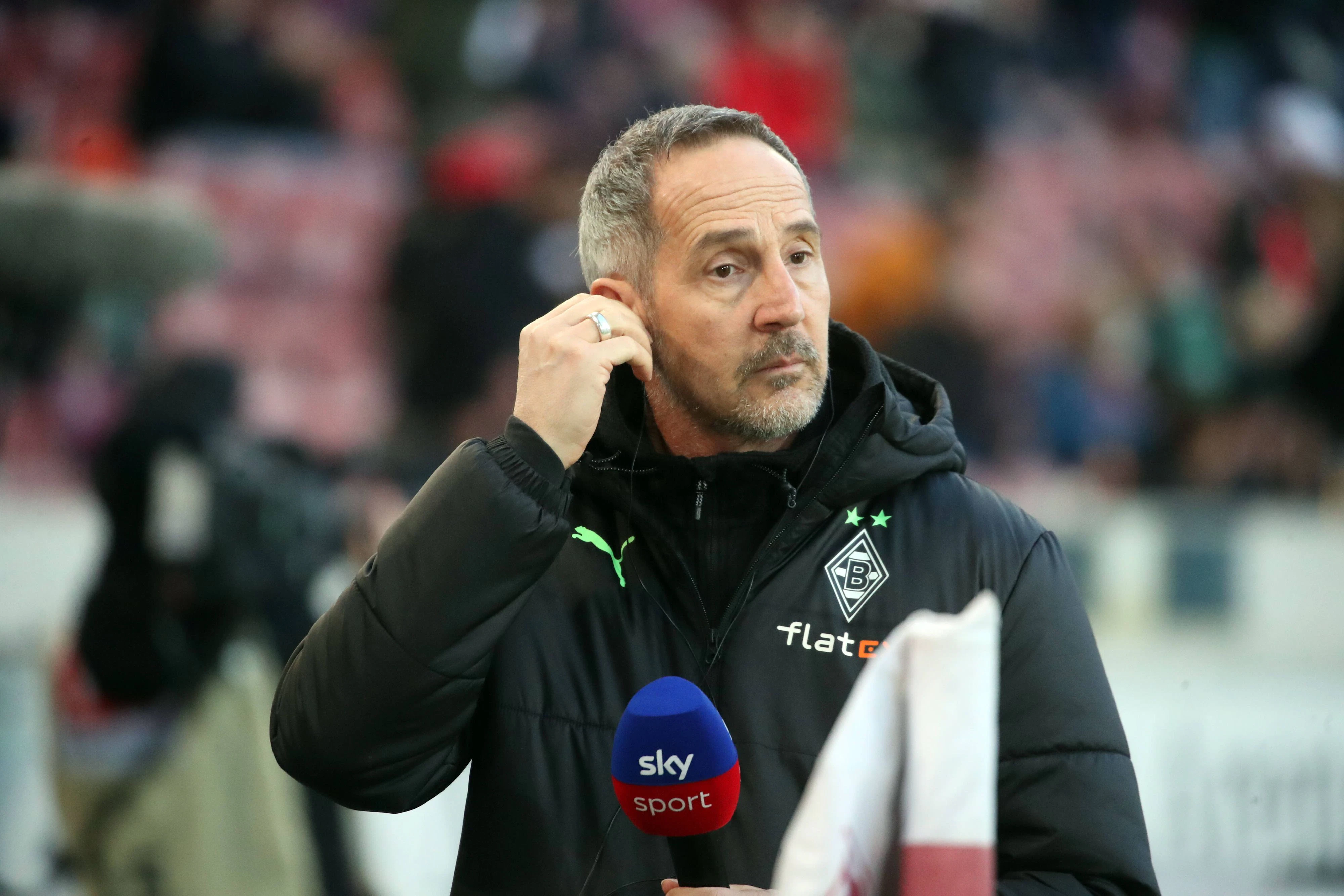 Gladbach-Trainer Adi Hütter