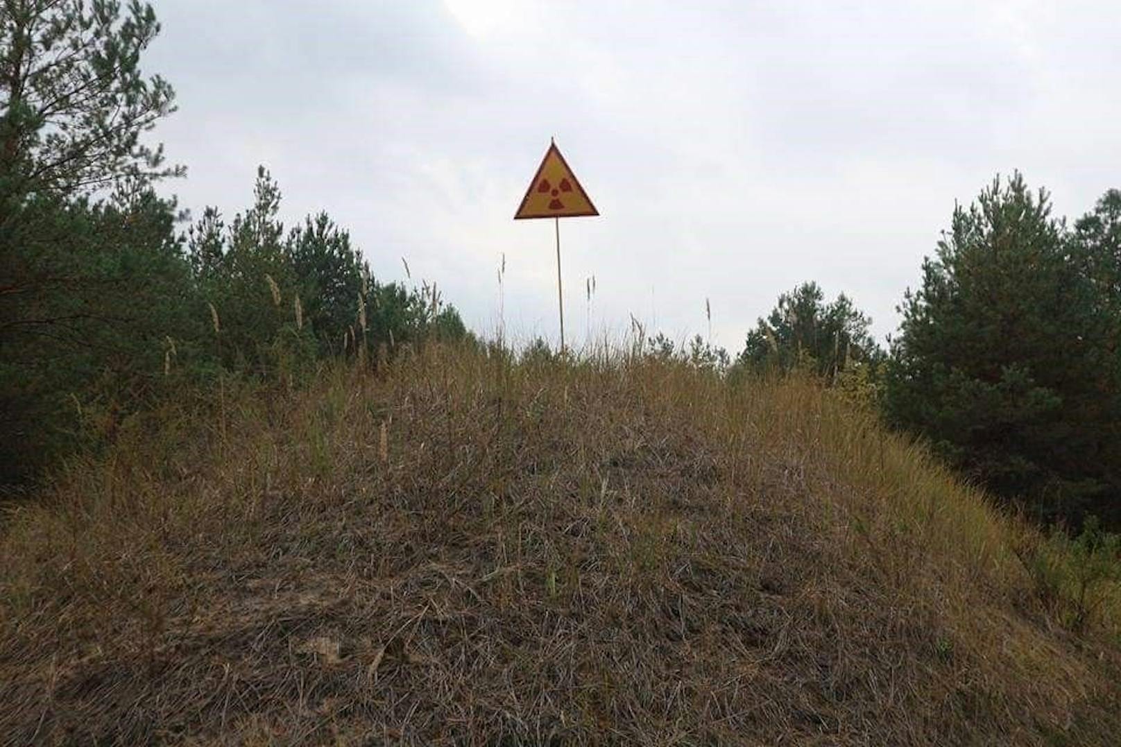 "Es kommt zwar zu keiner richtigen Explosion, aber Radioaktivität wird freigesetzt." Betroffen wäre davon in erster Linie das Gebiet rund um Tschernobyl bis Kiew, so die Einschätzung von Tendl.