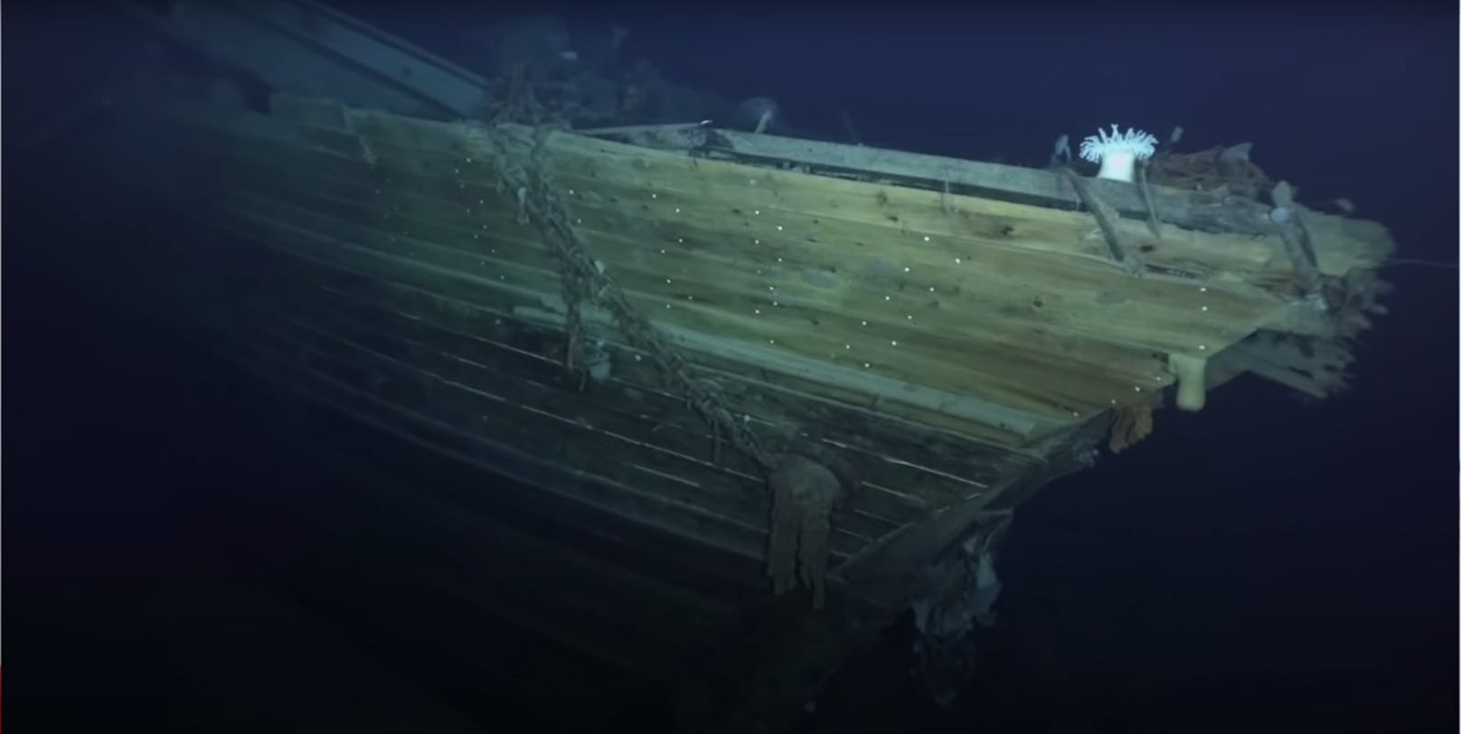 Ein Tauchroboter fertigte diese einzigartigen Aufnahmen an. Das Schiff gilt als wertvolles Kulturgut und soll am Meeresboden verbleiben.