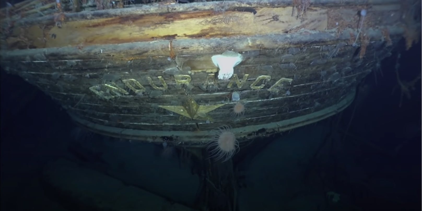 Mit der Hilfe eines Tauchroboters entdeckten Forscher das seit mehr als 100 Jahren verschollene Schiff.