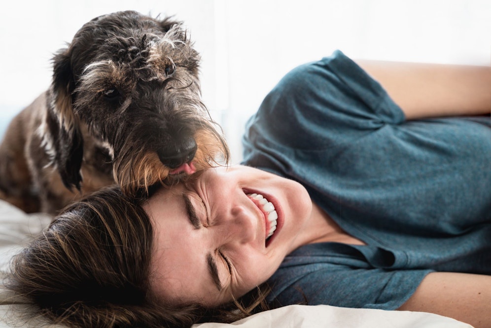 Dein Hund kann dich bestimmt gut leiden, aber ob wirklich sein Herz nur für dich schlägt, erfährst du hier.