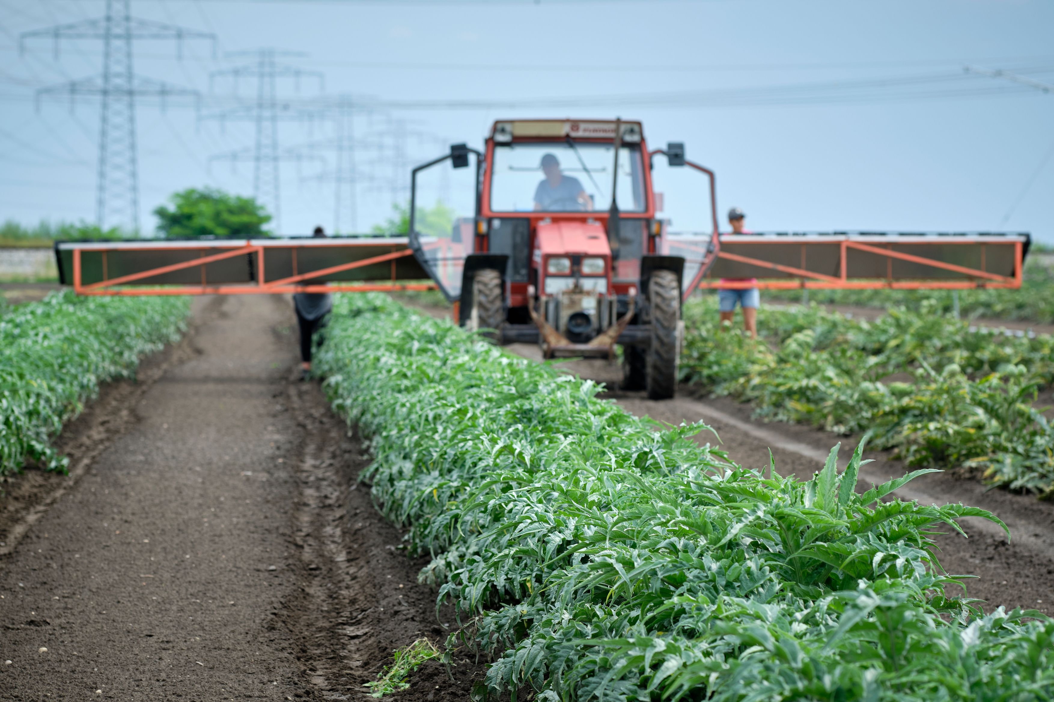 Die Produktionskosten für Lebensmittel jagen in die Höhe. (Symbolbild)