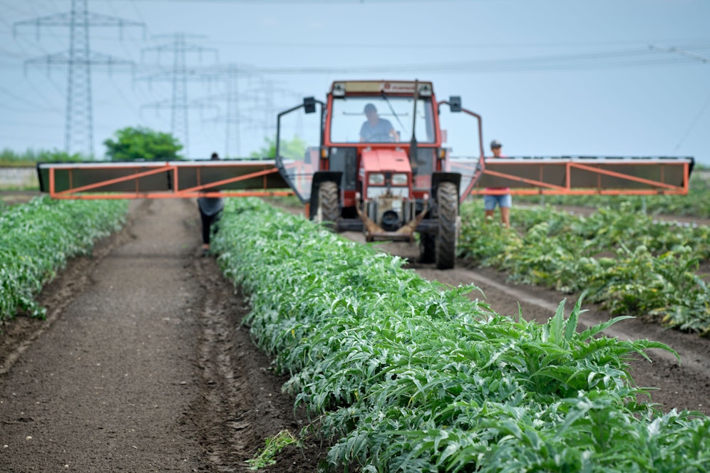 Die Produktionskosten für Lebensmittel jagen in die Höhe. (Symbolbild)