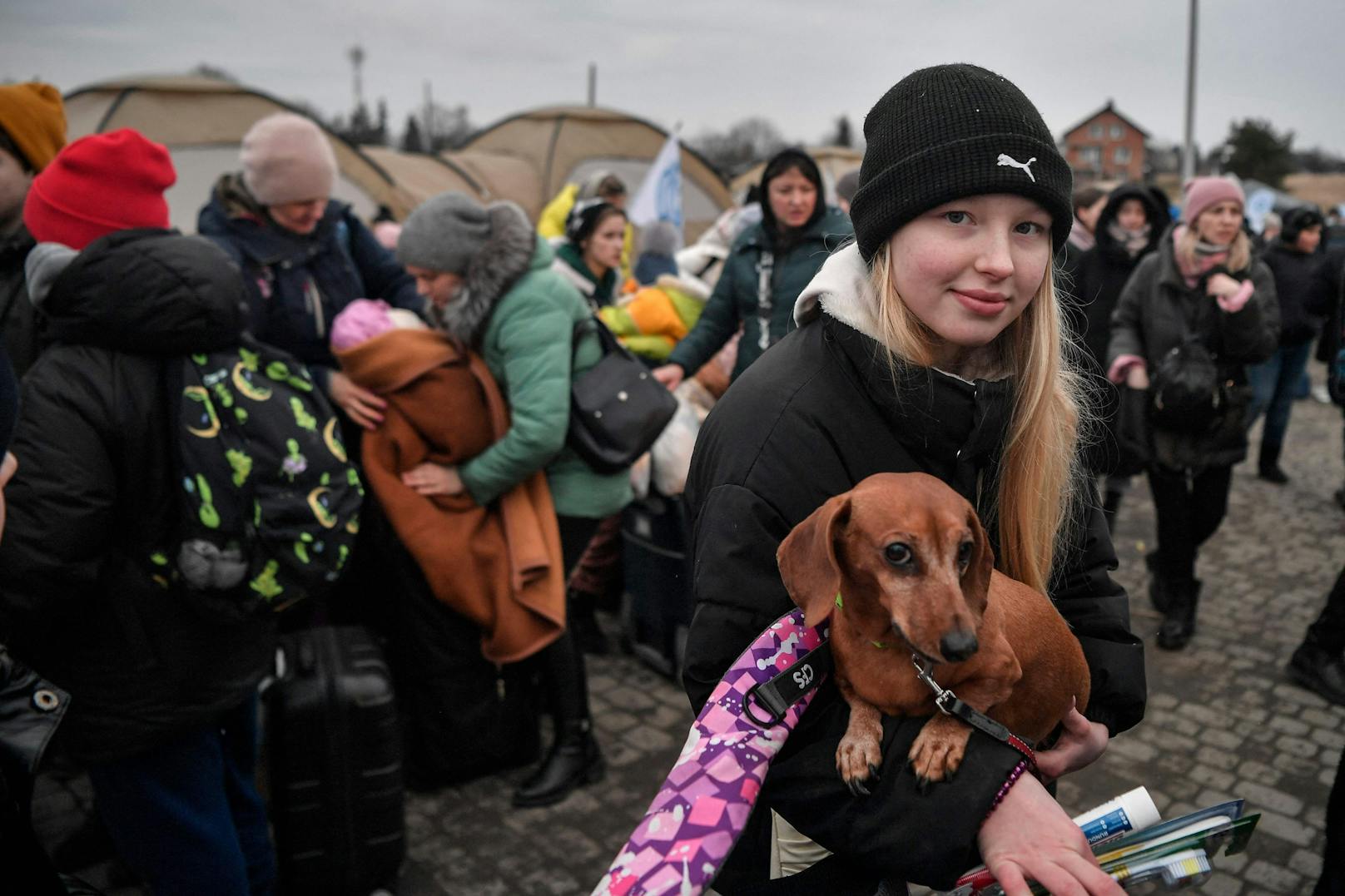 Mehrere Tausende Ukrainerinnen und Ukrainer flüchten täglich aus dem Kriegsgebiet. 