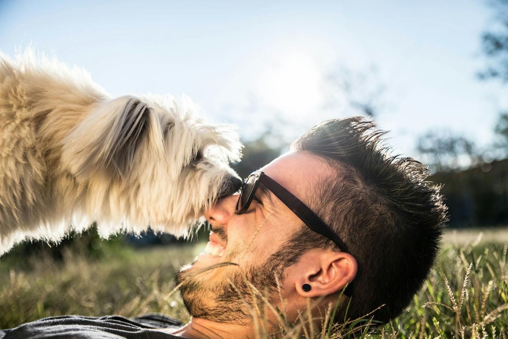 <strong>Der feuchte Kuss</strong>: Hundeküsse, so nass sie auch sein mögen, sind definitv ein Zeichen für "Ich kümmere mich um dich". Wenn dich dein Hund ableckt, dann weil er dich umsorgen möchte. That's Love. ACHTUNG - wir sprechen hier allerdings von freiwilligen "Küssen" - wenn man einen Hund dabei festhält, kann es auch ein Beschwichtigungssignal sein. 