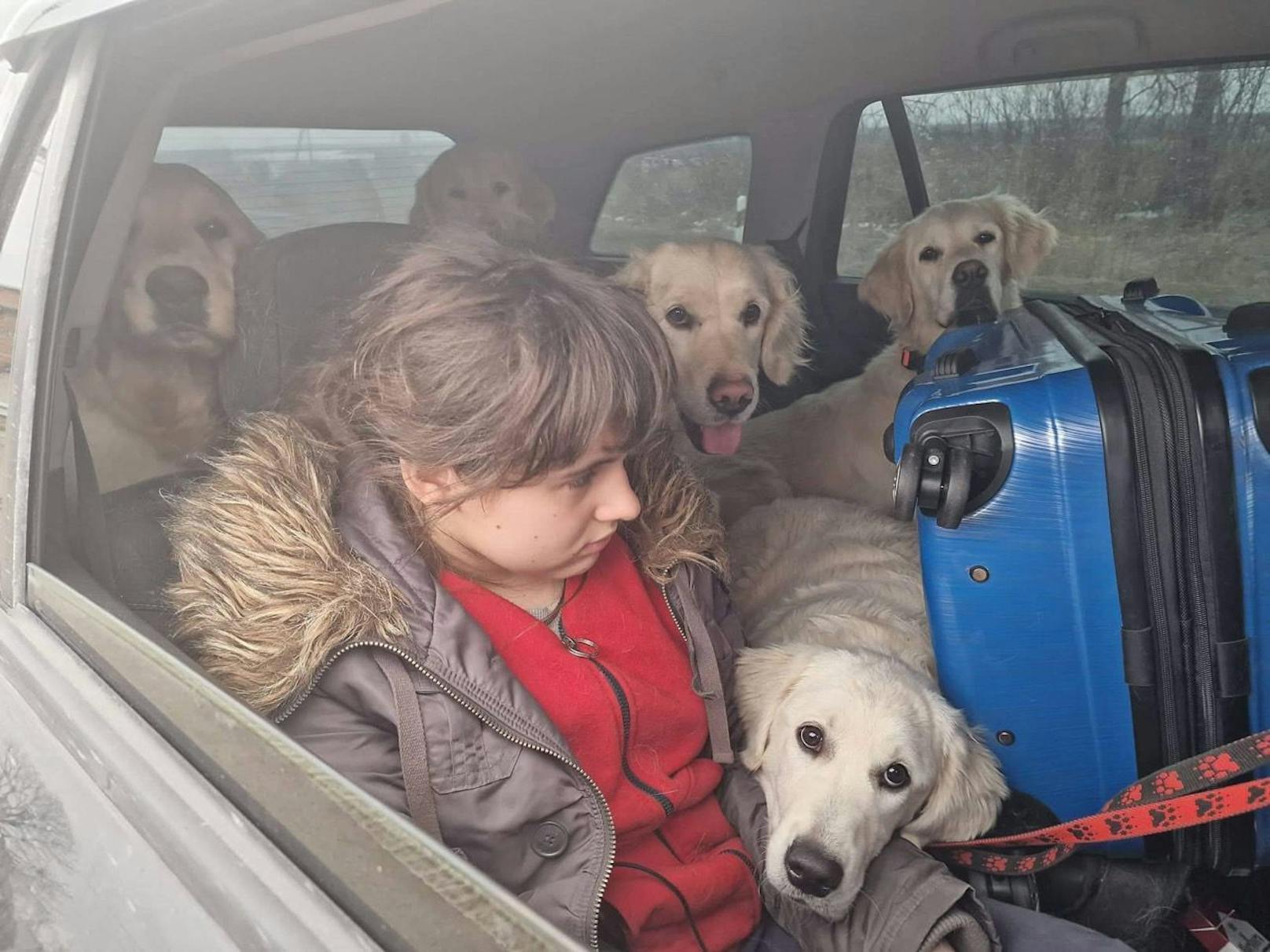 Vor einigen Tagen machten sich die Tierretter auf den Weg an die ukrainische Grenze. Voll beladen mit über 1.500 Kilogramm Tierfutter, Medikamenten und Hilfsmitteln wurde wichtige Soforthilfe geleistet.