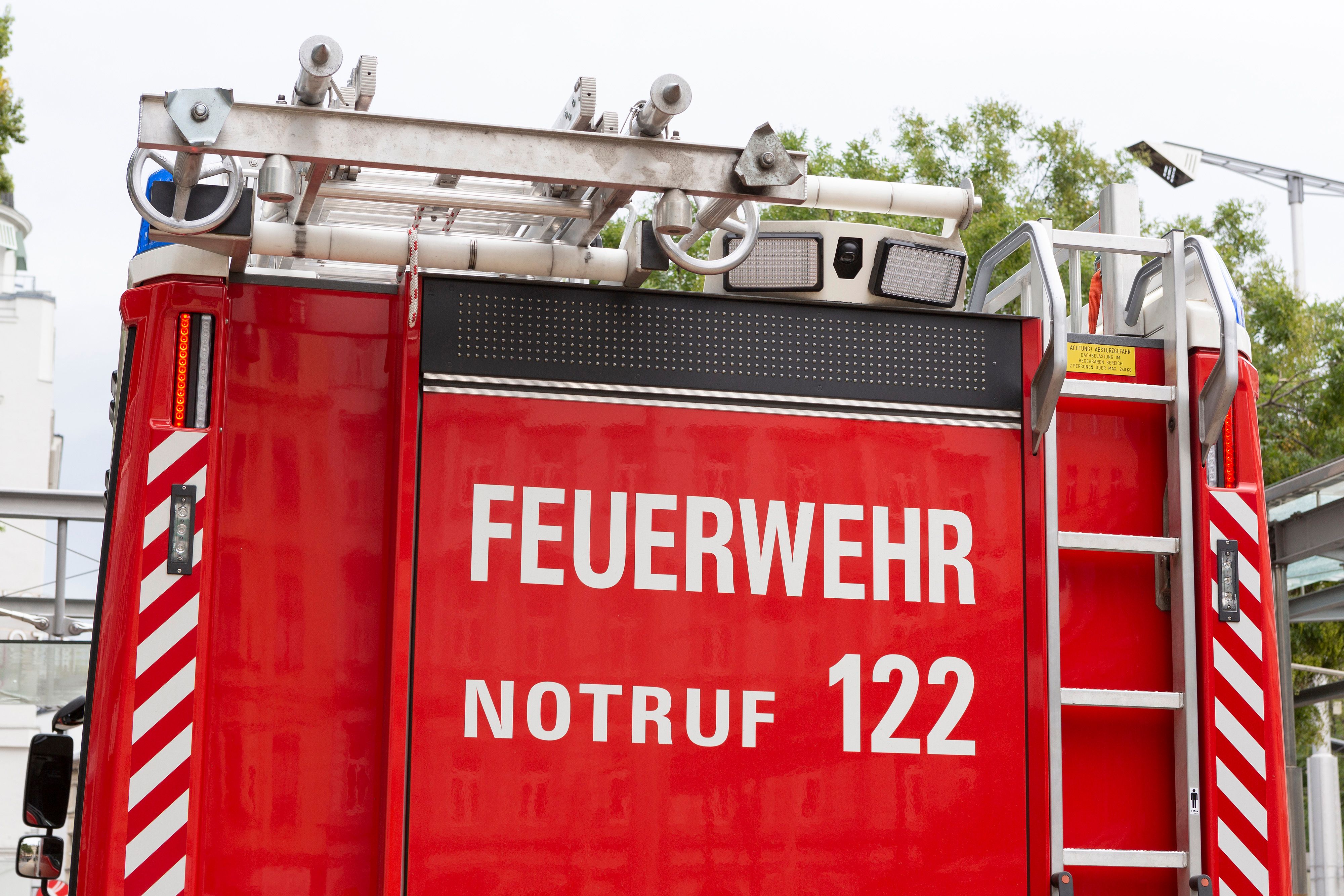 Wegen einer noch brennenden Zigarette geriet eine Wohnung in Brand. Ein Hund kam dabei ums Leben