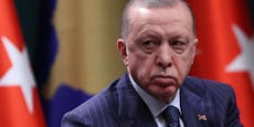 "Ochse": Journalistin wegen Erdogan-Beleidigung in Haft