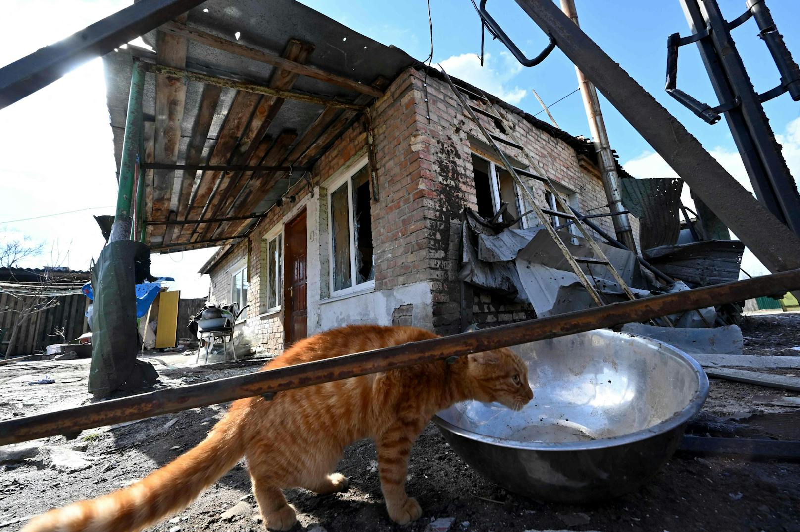 Wir schreiben mittlerweile Tag 16 im Ukraine-Krieg und die Lage spitzt sich weiter zu. "Die Leute haben angefangen, um Lebensmittel zu kämpfen", erklärt das Internationale Komitee vom Roten Kreuz zur Lage in der Stadt Mariupol.