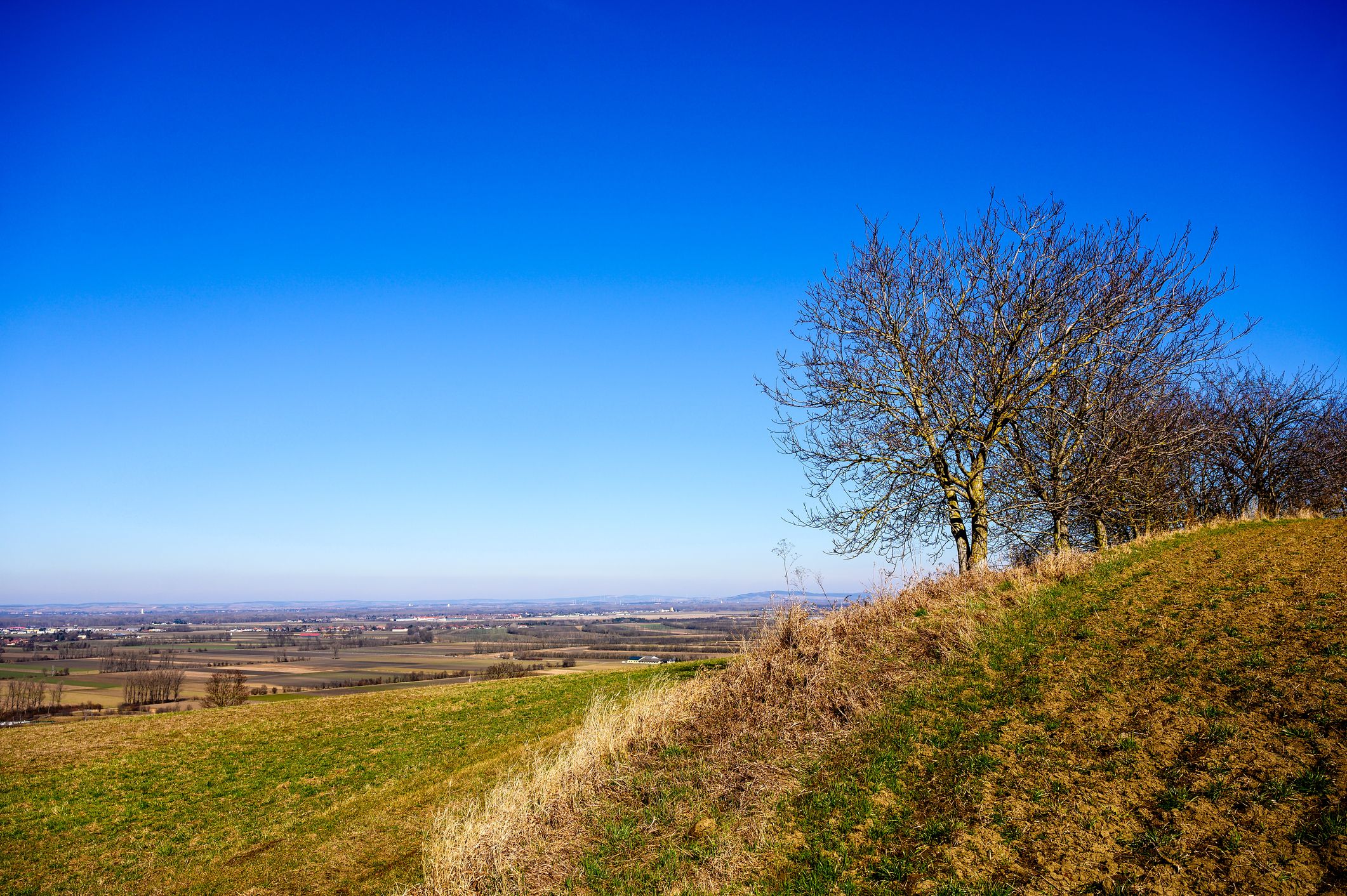 Der Sonntag wird grundsätzlich sonnig – aber windig.