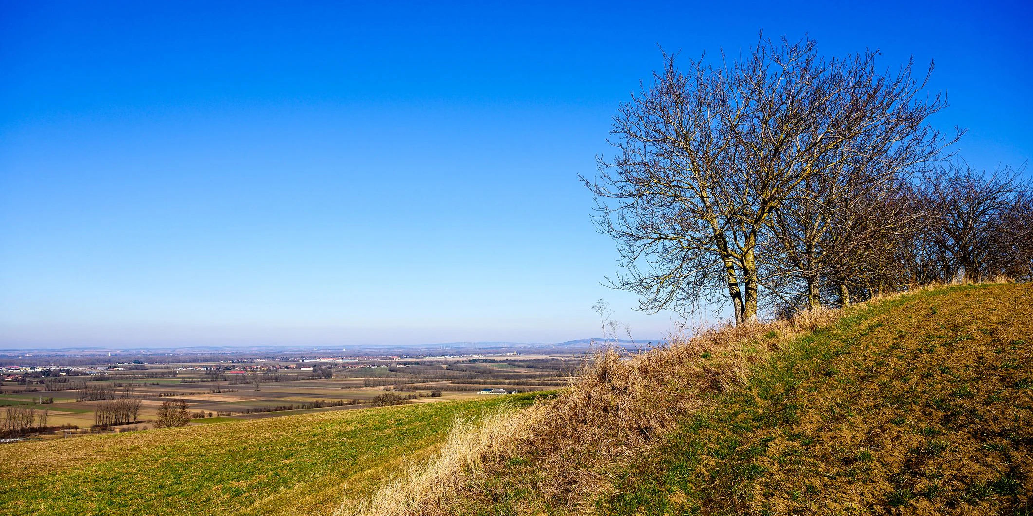 Der Sonntag wird grundsätzlich sonnig – aber windig.