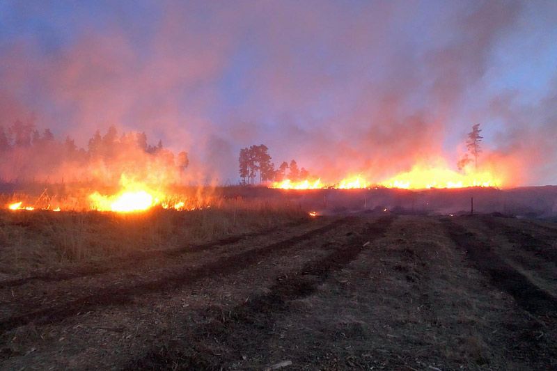 20 Hektar Wald brannten in Modsiedl ab. 