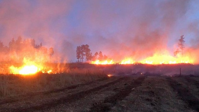 20 Hektar Wald brannten in Modsiedl ab. 