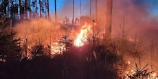 Klimakrise – Hohe Waldbrandgefahr wegen Trockenheit