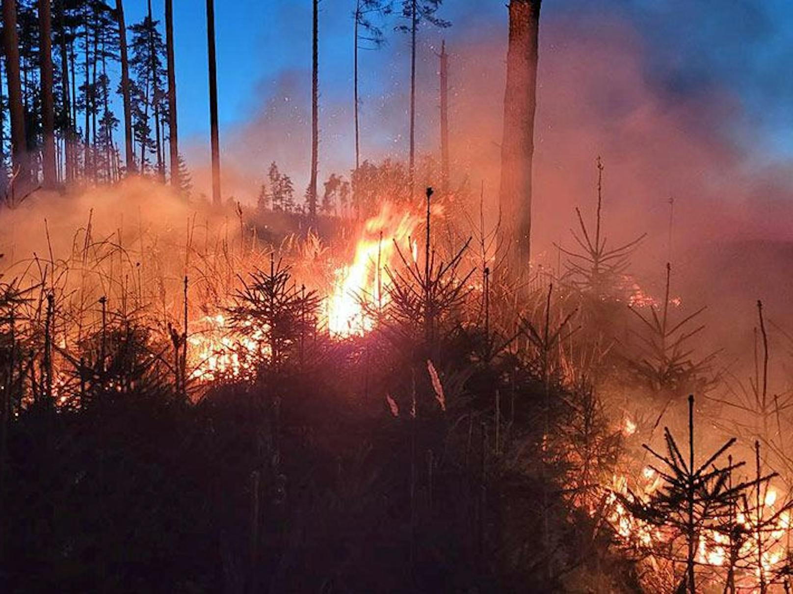 Momentan herrscht wegen Trockenheit eine sehr hohe Waldbrandgefahr. Daher ist Vorsicht in den Wäldern geboten.