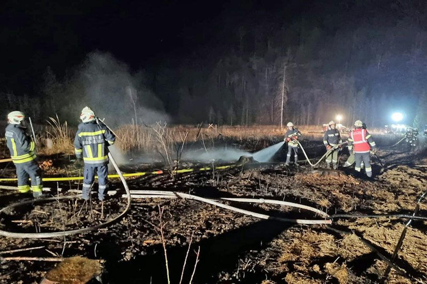 20 Hektar Wald brannten in Modsiedl ab. 
