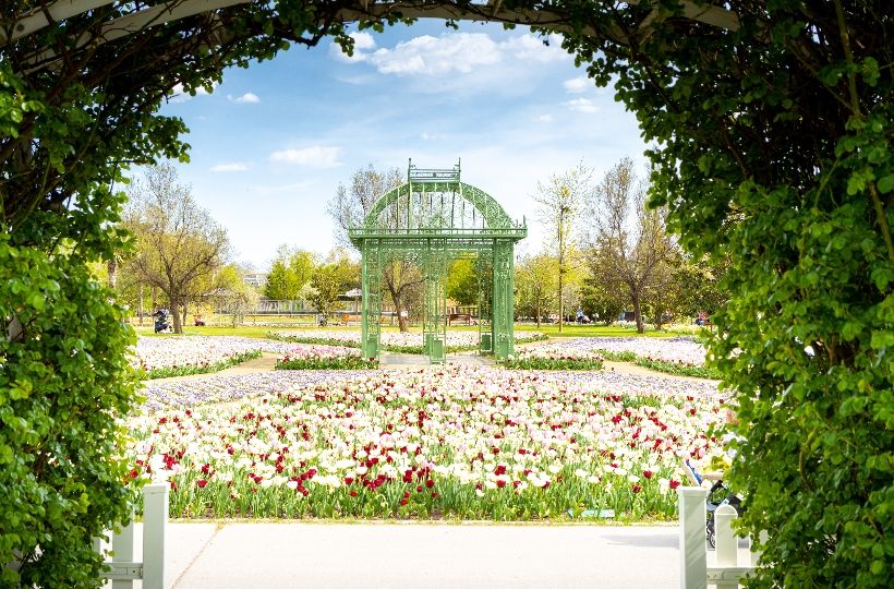 Im Frühling, Sommer und Herbst sind die Blumengärten Hirschstetten stark frequentiert.