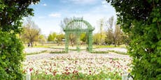 Blühendes Hirschstetten - Saisonstart für Blumengärten