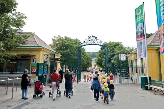Vor allem Kinder, die aus der Ukraine flüchten mussten, möchte der Tiergarten in Wien ein Lächeln ins Gesicht zaubern.